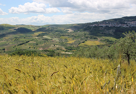 Cronaca di un 2 giugno biodiverso in Molise