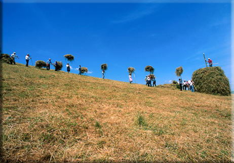 “Images of Rural Europe”