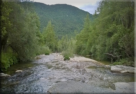 Venafro: Allarme per il bosco di Pietrabianca