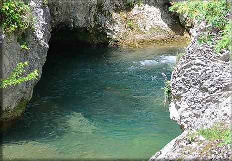 I tesori della riserva naturale ‘Torrente Callora’