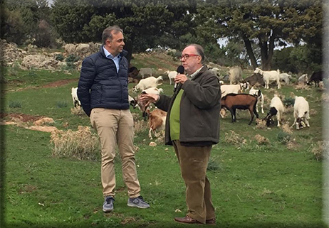 Una filiera per il latte di capra