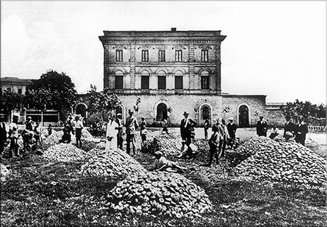 La Fiera delle cipolle di Isernia