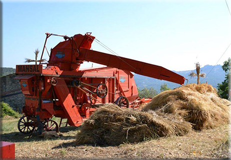 La trebbiatura in Molise