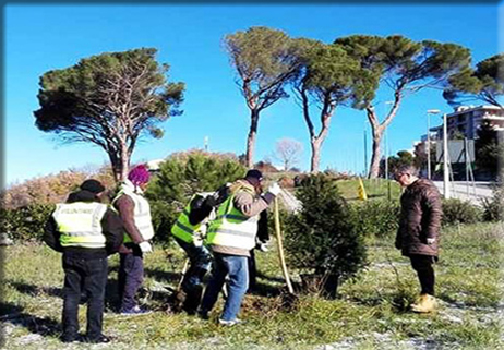 Nuovi alberi a Campobasso