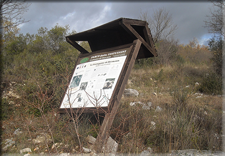 Parco delle Testuggini dimenticato da tutti