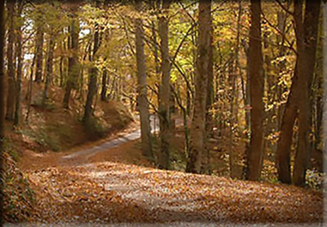 Collemeluccio-Montedimezzo (Molise)