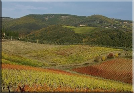 Prepariamoci alla “Giornata mondiale della terra”