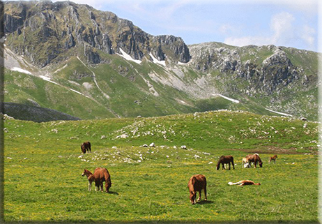 Il Parco Nazionale del Matese