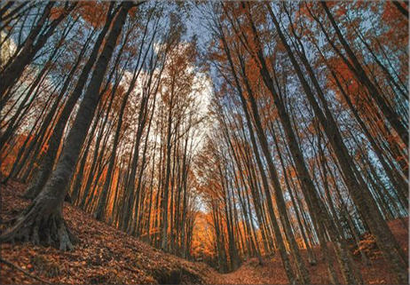 A chi vive la montagna, la cura della montagna