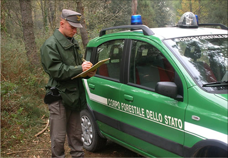 Torna il Corpo Forestale?