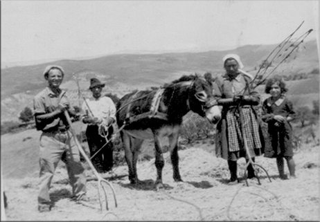 La tresca del grano sull’aia