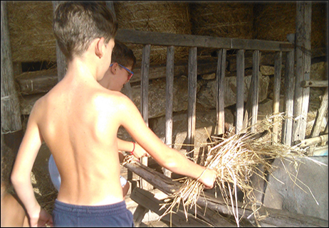 “Giro le campagne lavorando in fattoria con i miei figli”