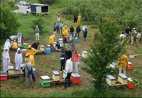 A Castel del Giudice il primo Apiario di Comunità d’Italia