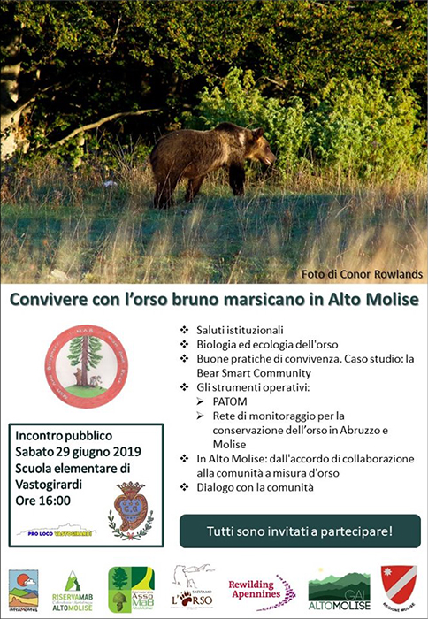 “Convivere con l’orso bruno marsicano in Alto Molise”