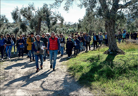 Torna la “Camminata tra gli olivi”