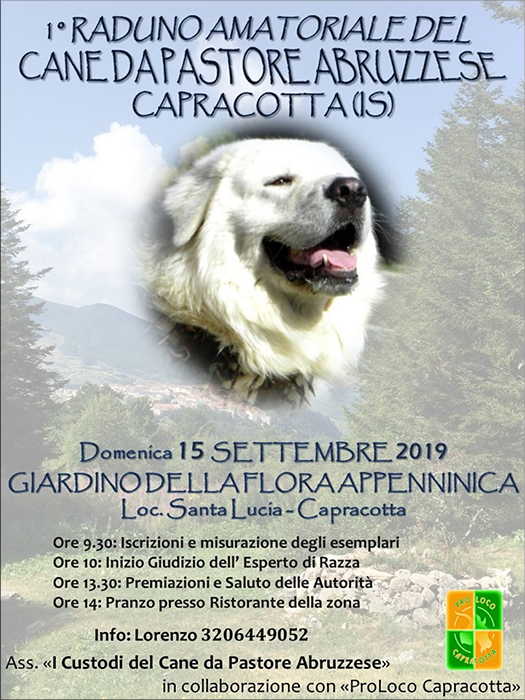 Primo raduno del cane da pastore abruzzese