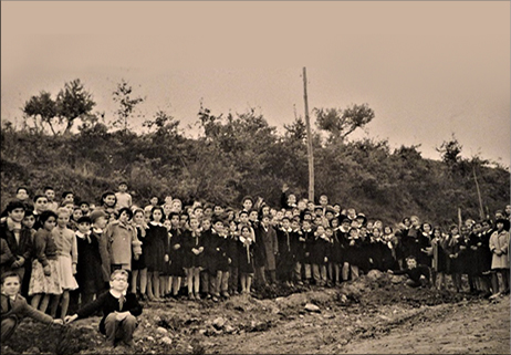 La festa degli alberi a Toro