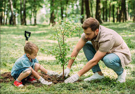 Un albero ci salverà…forse