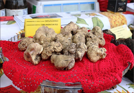 Il tartufo bianco di San Pietro Avellana conquista il turismo 