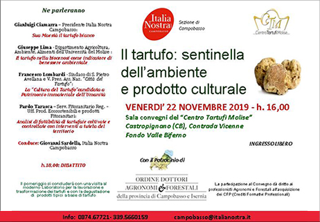 Il tartufo: sentinella dell’ambiente e prodotto culturale