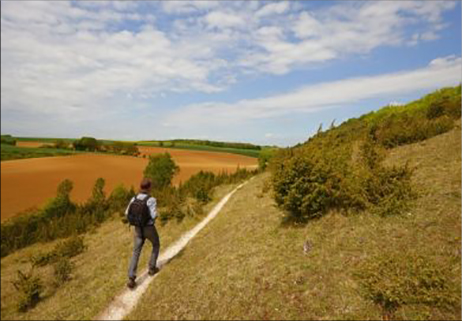 Il coraggio di camminare, gesto naturale ma rivoluzionario