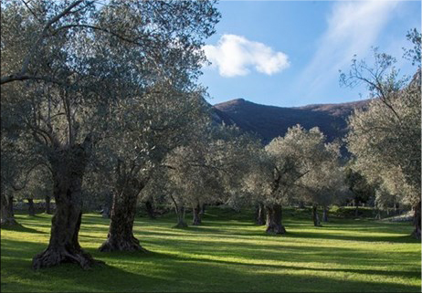 Da Venafro a Portocannone