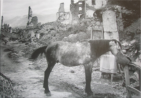 Febbraio 1944, distruzione dell’Abbazia di Montecassino