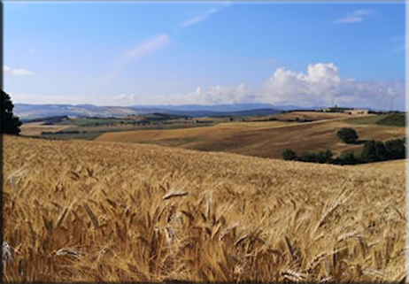 La battaglia del Paesaggio