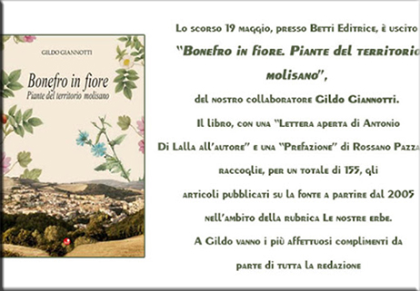 Lettera aperta per “Bonefro in fiore”