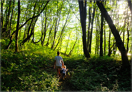 Salvare la biodiversità significa salvare l’economia