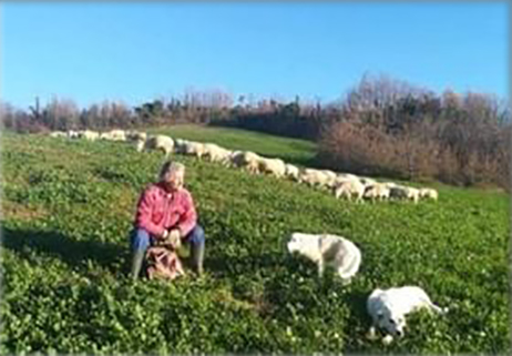 South Beach: il Molise che non vogliamo.7