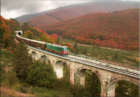 Treni storici nel Molise