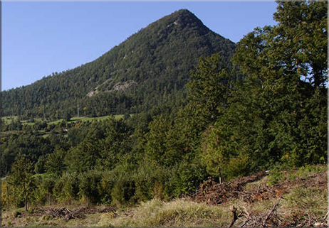 La natura di un parco naturale