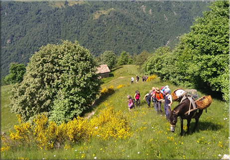 Seminare Comunità