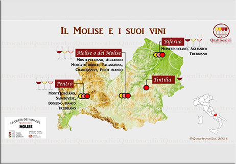 Il Molise ed i suoi vini