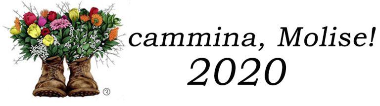 XXVI Edizione 2020