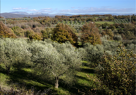 Basso Molise laboratorio