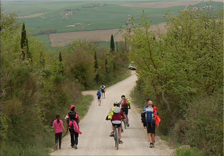 La Via Francigena