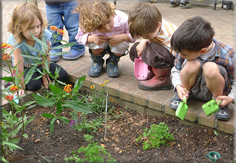 Più verde per le scuole