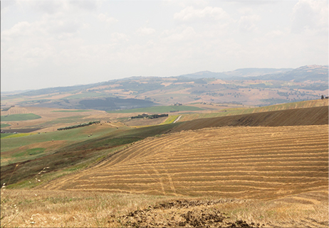 Lo sfogo di un agricoltore