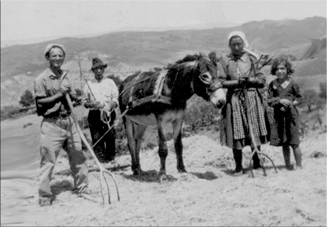 Toro: la tresca del grano sull’aia 