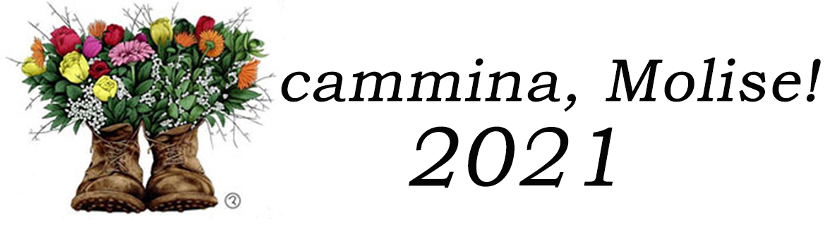 XXVII Edizione 2021