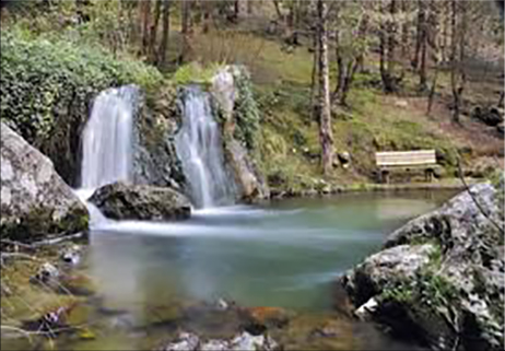 La natura di un parco naturale