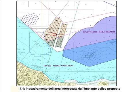 La foglia di fico!