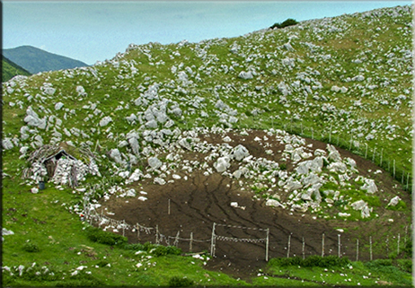 La capanna non con il bue e l’asinello, ma con le pecore