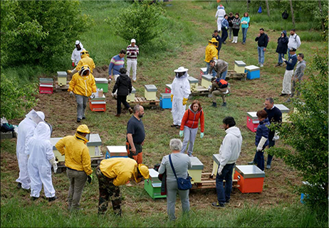 Biodiversità a nostra insaputa