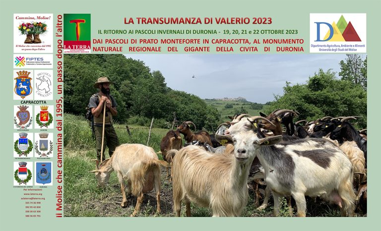 “Transumando con le capre di Valerio” 2023 – Il Ritorno