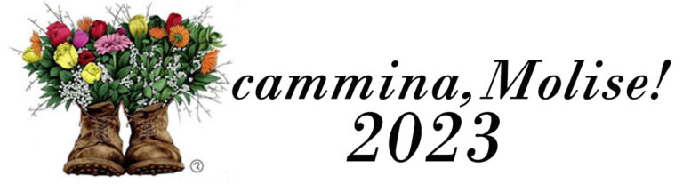 XXXI Edizione 2023