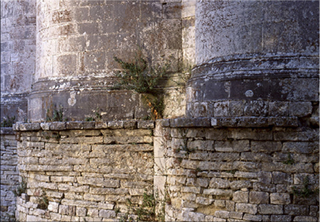 La Pietra usata a S. Maria della Strada