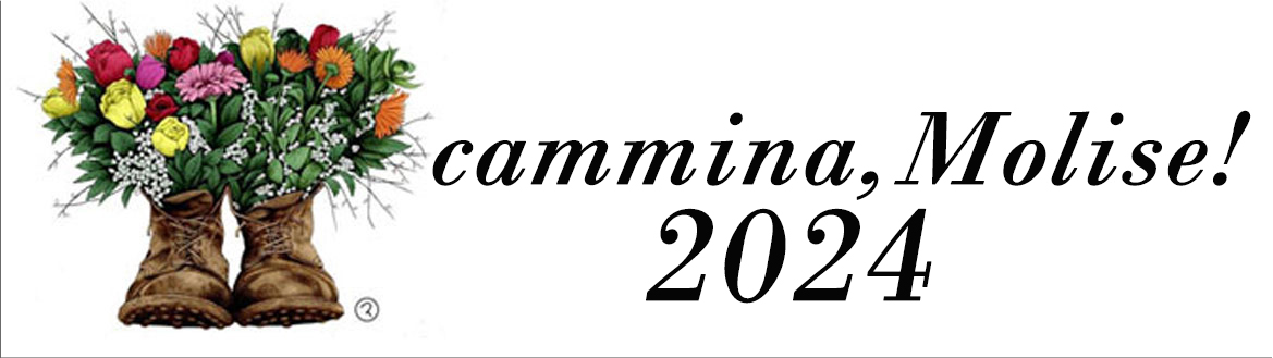 Edizione 2024